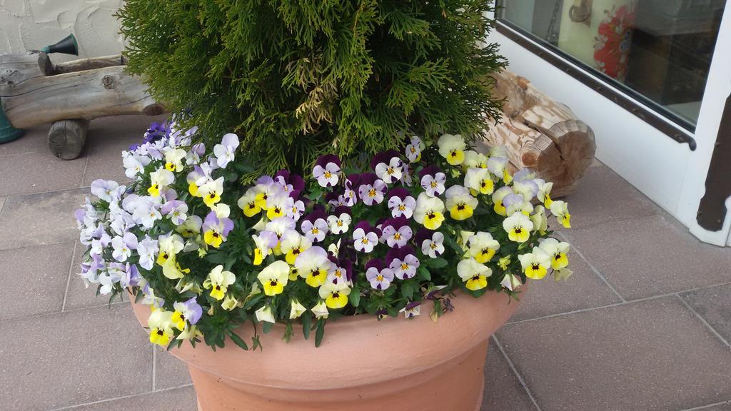 Hotel Garni La Majon 3*