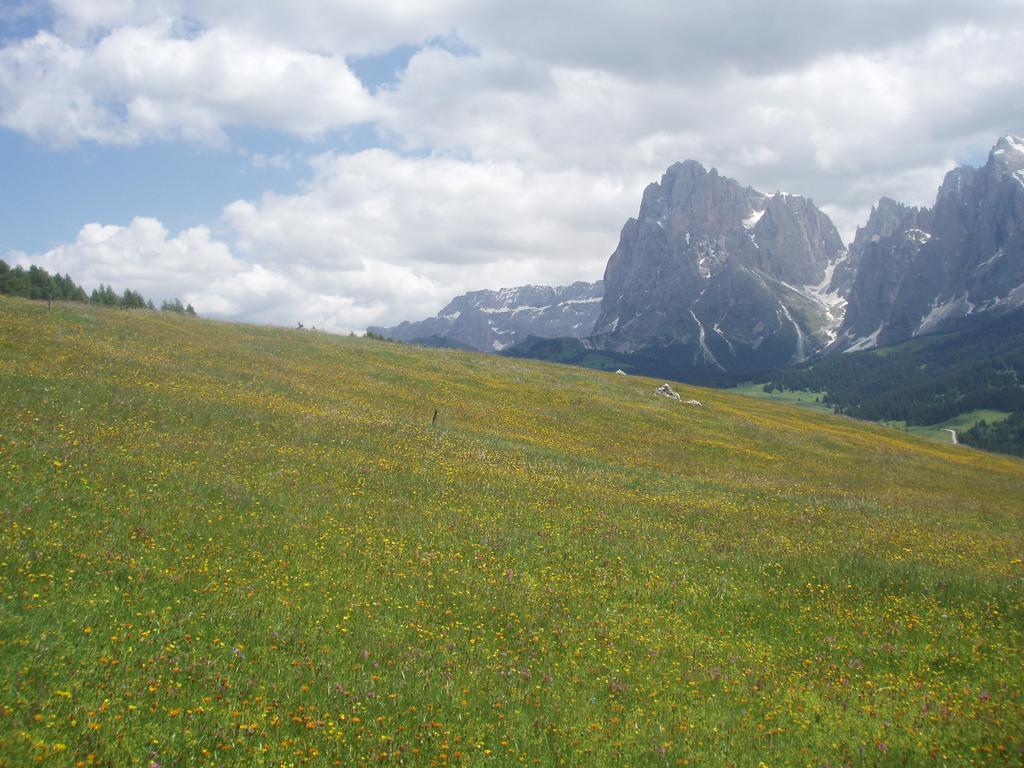 Garni La Majon Sëlva